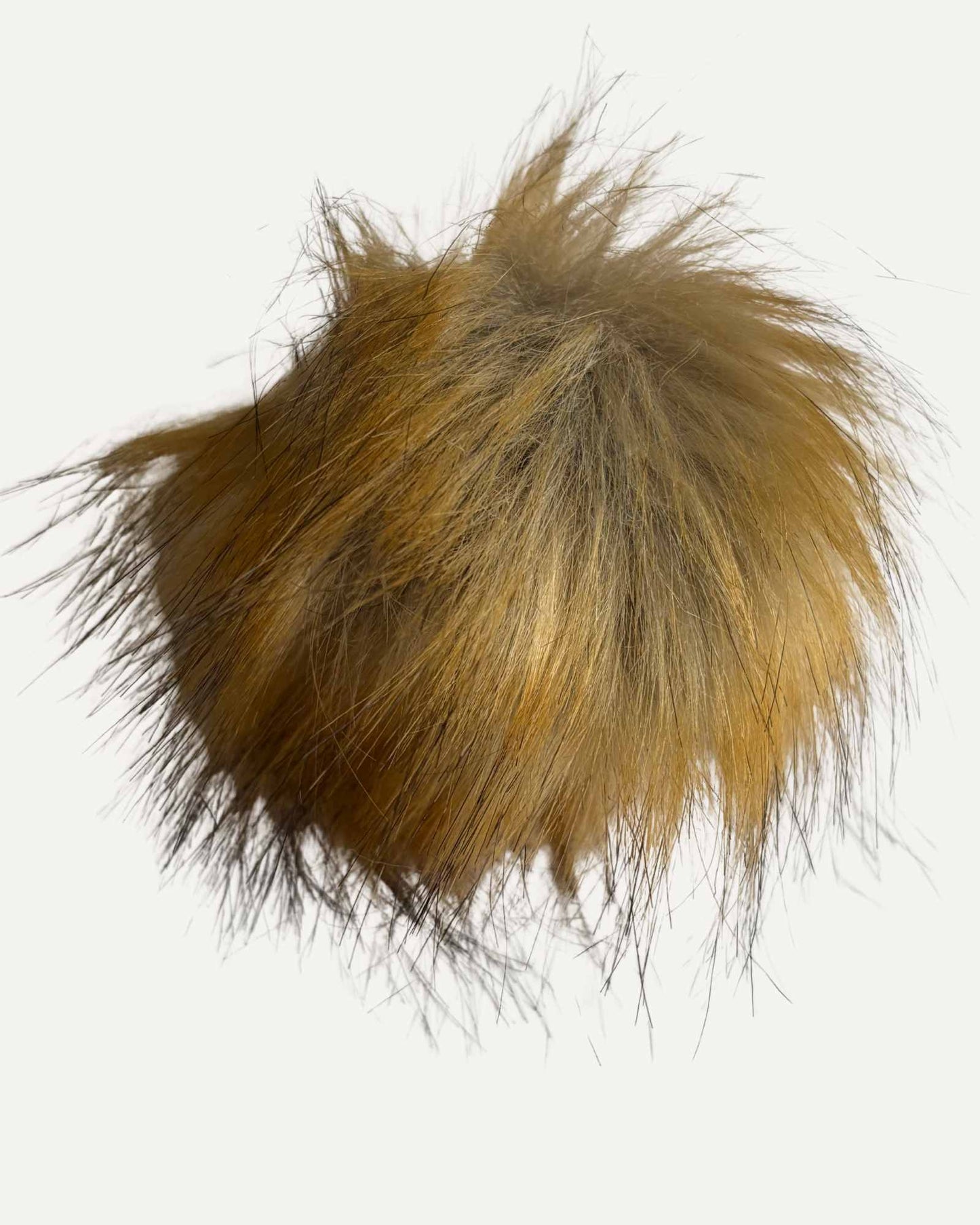 Gervifeldsdúskur 10cm